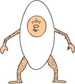 こしのひかり