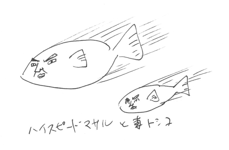 ハイスピードマサルと妻トシコ